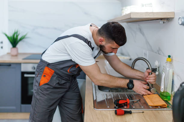 Best Local Plumber Services  in Lake Alfred, FL