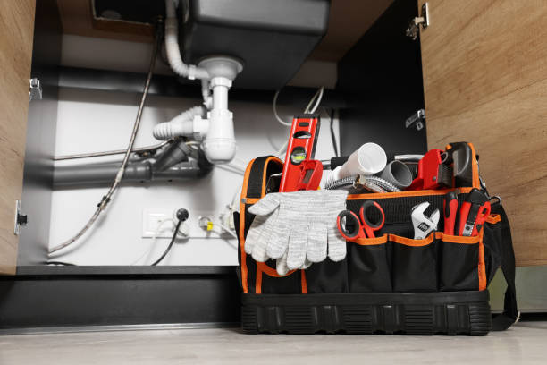 Best Commercial Plumbing Services  in Lake Alfred, FL
