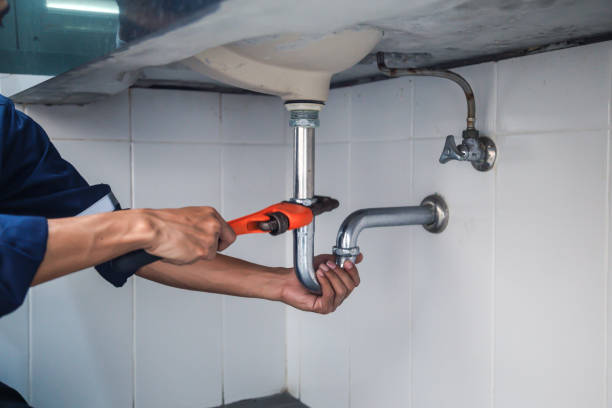 Best Clogged Drain Plumber  in Lake Alfred, FL