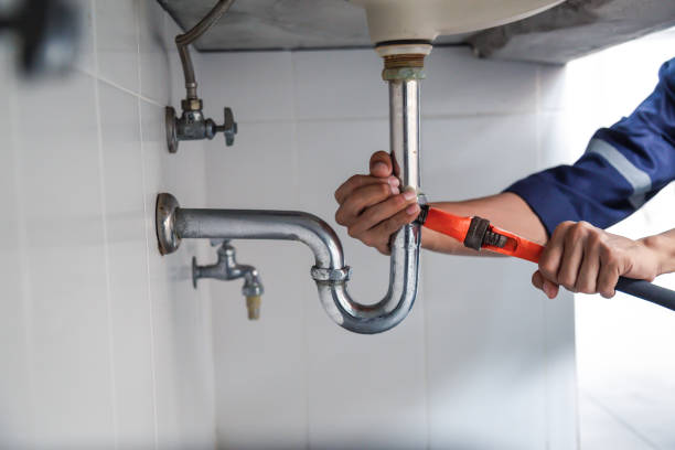 Best Drain Cleaning Services  in Lake Alfred, FL