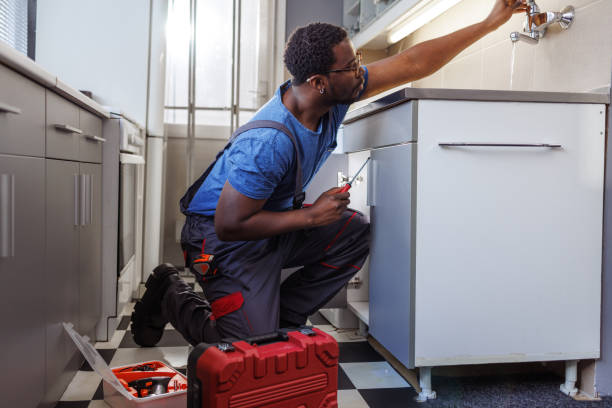 Best Same-Day Plumbing Service  in Lake Alfred, FL